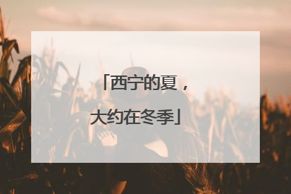 西宁的夏，大约在冬季